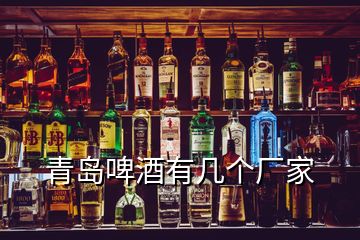 青島啤酒有幾個廠家