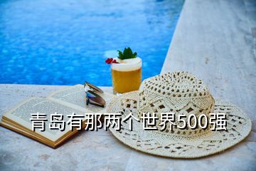 青島有那兩個(gè)世界500強(qiáng)