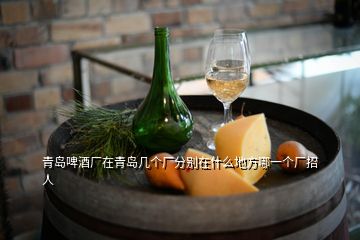 青島啤酒廠在青島幾個廠分別在什么地方哪一個廠招人