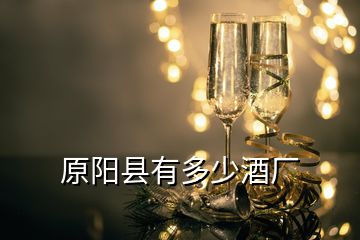 原陽(yáng)縣有多少酒廠