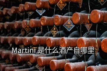 Martini 是什么酒產(chǎn)自哪里