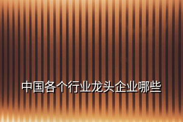 中國各個(gè)行業(yè)龍頭企業(yè)哪些