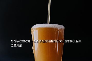 想在學(xué)校附近開一家麥多餡餅濟(jì)南的有誰知道怎樣加盟加盟費(fèi)用是