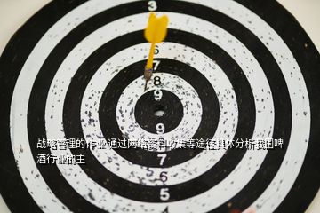 戰(zhàn)略管理的作業(yè) 通過(guò)網(wǎng)絡(luò)資料收集等途徑具體分析我國(guó)啤酒行業(yè)的主