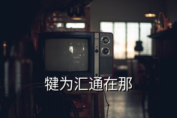 犍為匯通在那