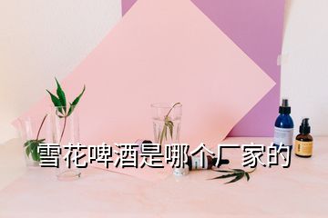 雪花啤酒是哪個(gè)廠家的