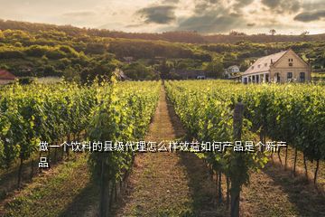 做一個飲料的縣級代理怎么樣效益如何產品是個新產品