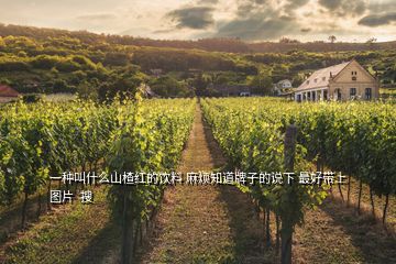 一種叫什么山楂紅的飲料 麻煩知道牌子的說(shuō)下 最好帶上圖片  搜