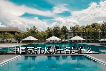 中國(guó)蘇打水前十名是什么