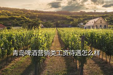 青島啤酒營(yíng)銷類工資待遇怎么樣