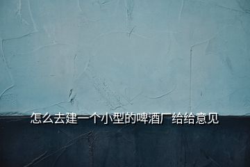 怎么去建一個小型的啤酒廠給給意見