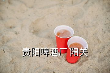 貴陽啤酒廠 陽關(guān)