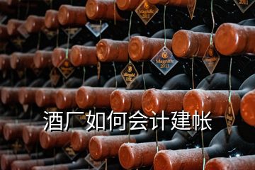 酒廠如何會(huì)計(jì)建帳