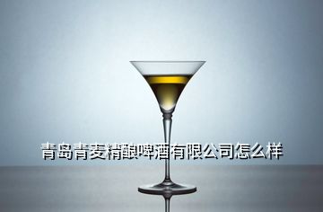 青島青麥精釀啤酒有限公司怎么樣