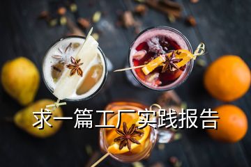 求一篇工廠實踐報告