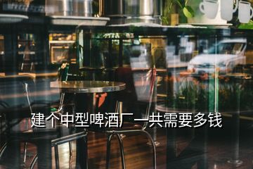 建個(gè)中型啤酒廠一共需要多錢