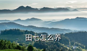 田七怎么養(yǎng)