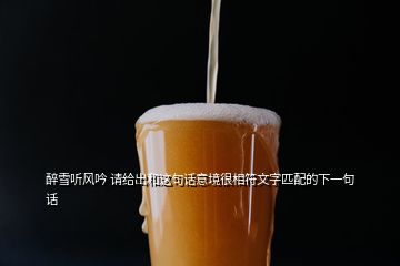 醉雪聽(tīng)風(fēng)吟 請(qǐng)給出和這句話意境很相符文字匹配的下一句話