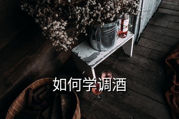 如何學(xué)調(diào)酒