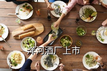 洋河酒廠上市