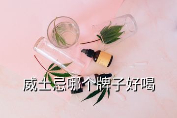 威士忌哪個(gè)牌子好喝