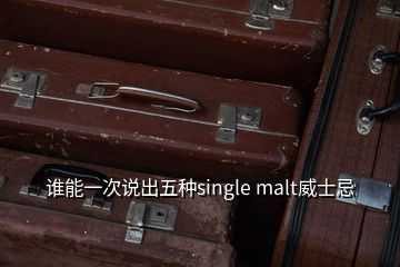 誰(shuí)能一次說(shuō)出五種single malt威士忌