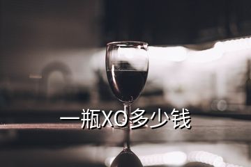 一瓶XO多少錢