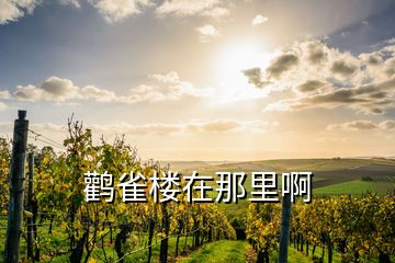 鸛雀樓在那里啊