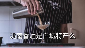 洮南香酒是白城特產(chǎn)么