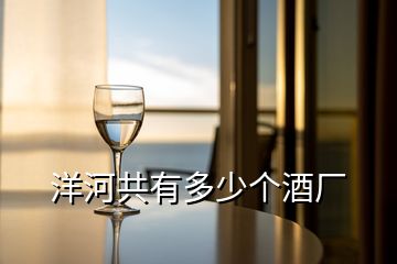 洋河共有多少個(gè)酒廠(chǎng)