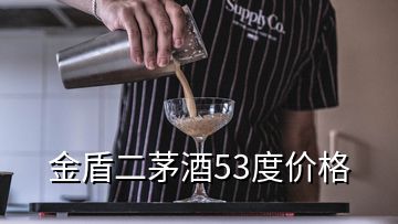 金盾二茅酒53度價(jià)格