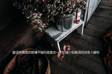 釀酒養(yǎng)豬真的穩(wěn)賺不輸嗎我看到一本機(jī)械介紹釀酒項(xiàng)目有人解析