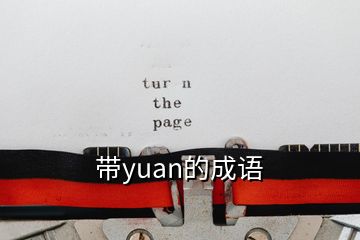 帶yuan的成語