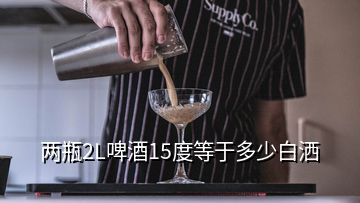 兩瓶2L啤酒15度等于多少白灑