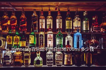 Hennessy百樂廷干邑白蘭地700ml 多少錢