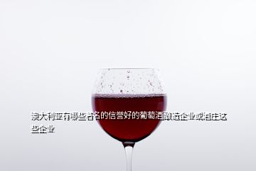 澳大利亞有哪些著名的信譽(yù)好的葡萄酒釀造企業(yè)或酒莊這些企業(yè)