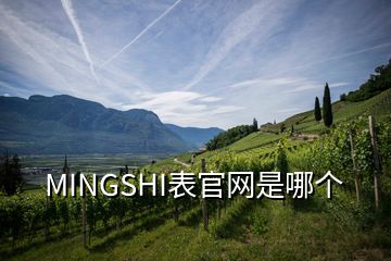 MINGSHI表官網(wǎng)是哪個