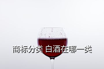 商標分類 白酒在哪一類