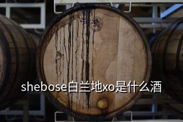 shebose白蘭地xo是什么酒