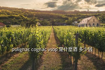 polignac cognac vsop 是什麼酒 多少錢