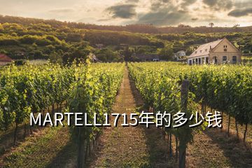 MARTELL1715年的多少錢