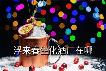 浮來春生化酒廠在哪