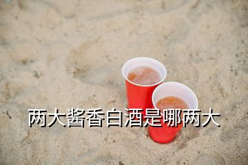 兩大醬香白酒是哪兩大