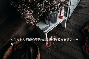 沈陽農(nóng)業(yè)大學(xué)附近哪里可以洗澡啊有沒有環(huán)境好一點(diǎn)的