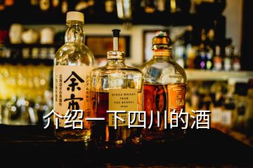 介紹一下四川的酒