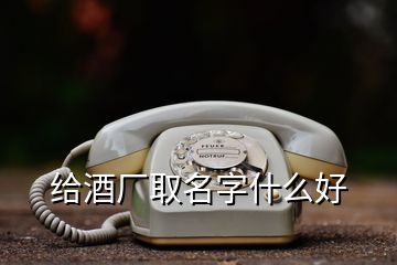 給酒廠取名字什么好