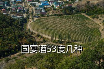 國(guó)宴酒53度幾種