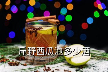 斤野西瓜泡多少酒