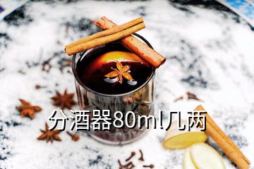 分酒器80ml幾兩