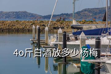 4o斤白酒放多少楊梅